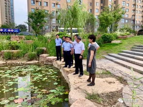 王昊市长调研园林绿化重点工程